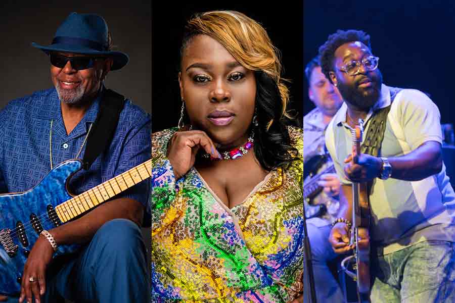 Chicago Blues Festival